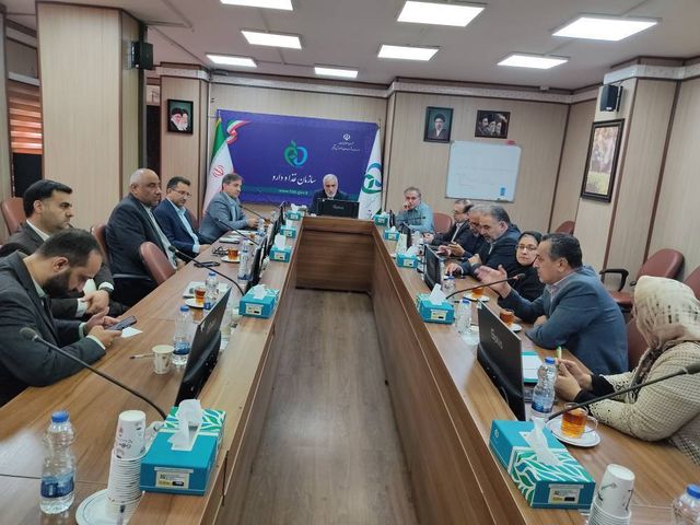 سازمان نظام پزشکی و سازمان غذا و دارو برای ساماندهی و نظارت بر تبلیغات دارویی در فضای مجازی نشست مشترک برگزار کردند