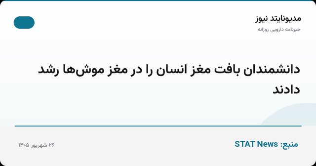 دانشمندان بافت مغز انسان را در مغز موش‌ها رشد دادند