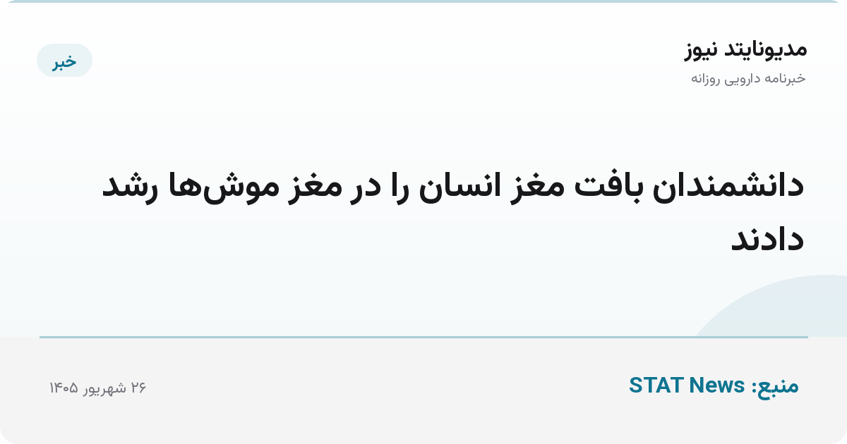 دانشمندان بافت مغز انسان را در مغز موش‌ها رشد دادند